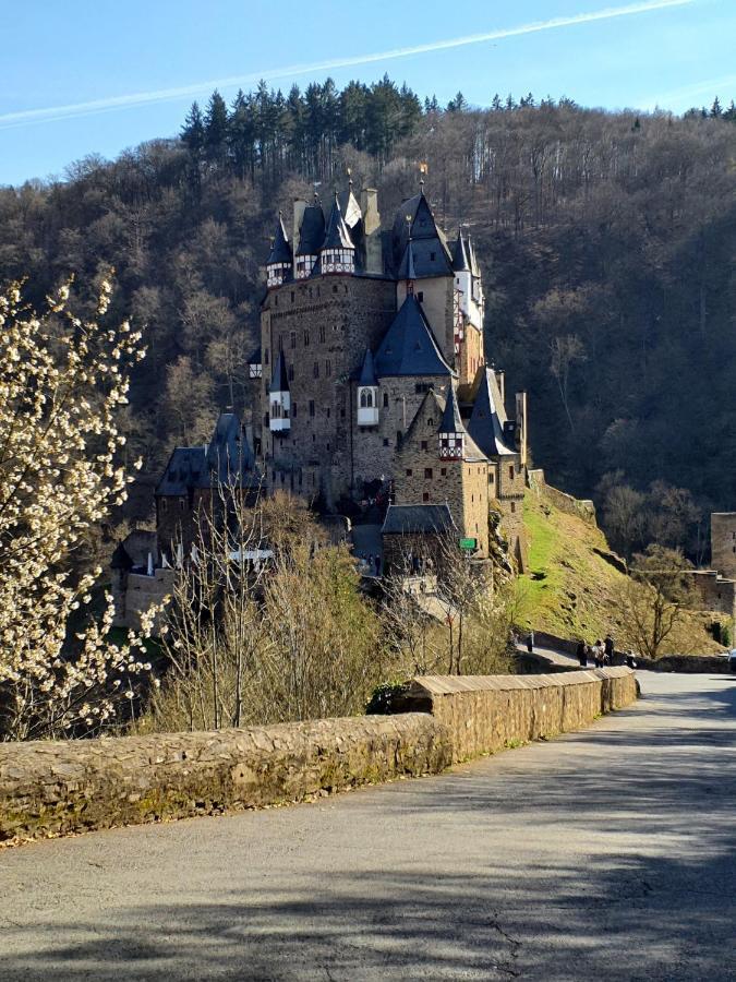 Attraktive Wohnung-Elztalidyll-Zwischen Mosel,Nuerburgring Und Burg Eltz Kollig Ngoại thất bức ảnh