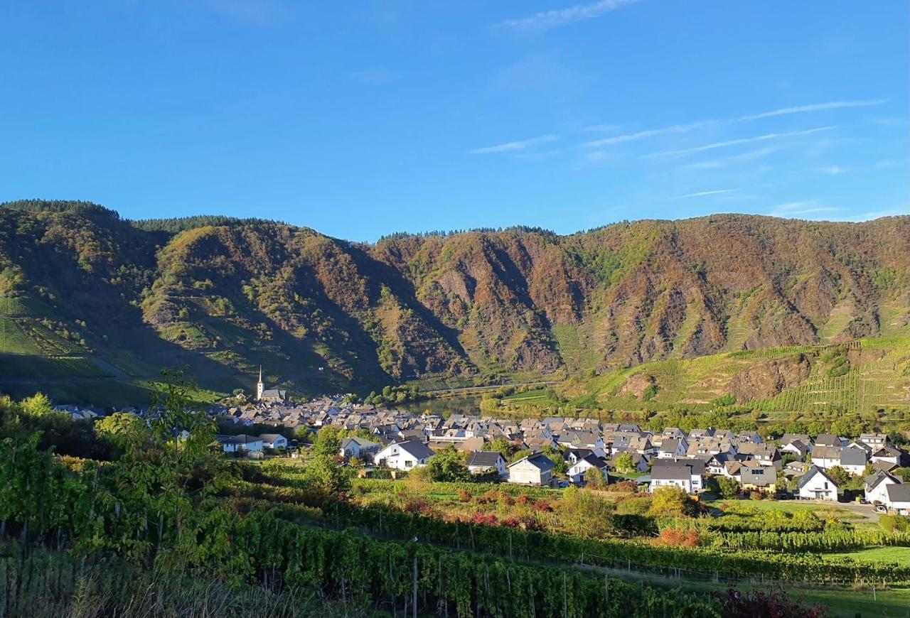 Attraktive Wohnung-Elztalidyll-Zwischen Mosel,Nuerburgring Und Burg Eltz Kollig Ngoại thất bức ảnh